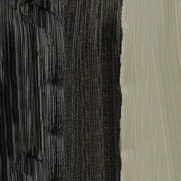 https://www.tintadlaplastykow.pl/gfx/photos/offer_59548985/farby_olejne_rembrandt_410_greenish_umber.webp