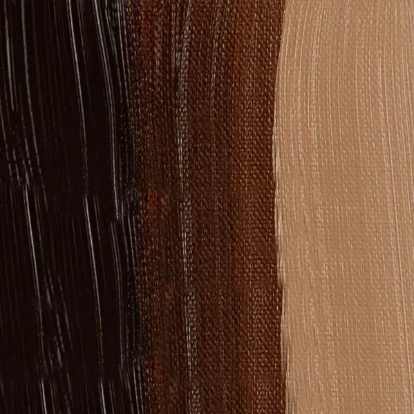 https://www.tintadlaplastykow.pl/gfx/photos/offer_59548989/farby_olejne_rembrandt_418_stil_de_grain_brown.webp