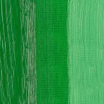 https://www.tintadlaplastykow.pl/gfx/photos/offer_59549015/farby_olejne_rembrandt_614_permanent_green_medium.webp