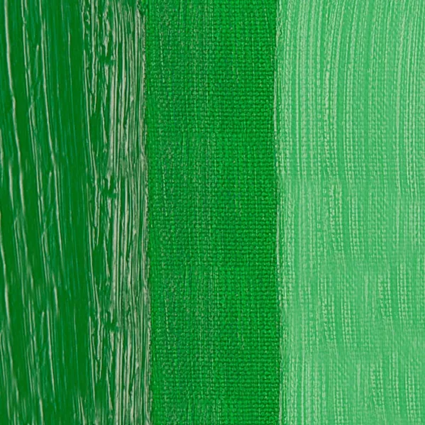 https://www.tintadlaplastykow.pl/gfx/photos/offer_59549015/farby_olejne_rembrandt_614_permanent_green_medium.webp