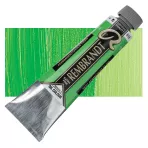 https://www.tintadlaplastykow.pl/gfx/photos/offer_59549018/farba_olejna_rembrandt_40_ml_618_permanent_green_light_S.3.webp