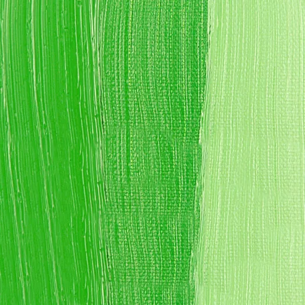 https://www.tintadlaplastykow.pl/gfx/photos/offer_59549018/farby_olejne_rembrandt_618_permanent_green_light.webp