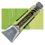https://www.tintadlaplastykow.pl/gfx/photos/offer_59549026/farba_olejna_rembrandt_40_ml_633_permanent_yellowish_green_S.3.webp