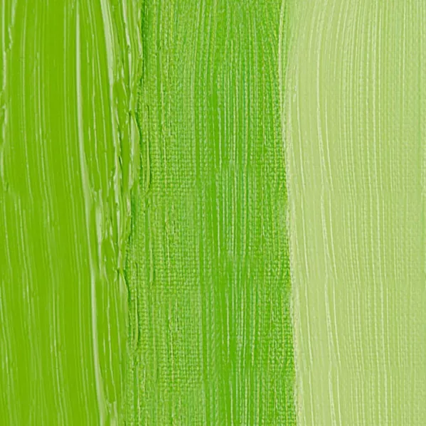 https://www.tintadlaplastykow.pl/gfx/photos/offer_59549026/farby_olejne_rembrandt_633_permanent_yellowish_green.webp