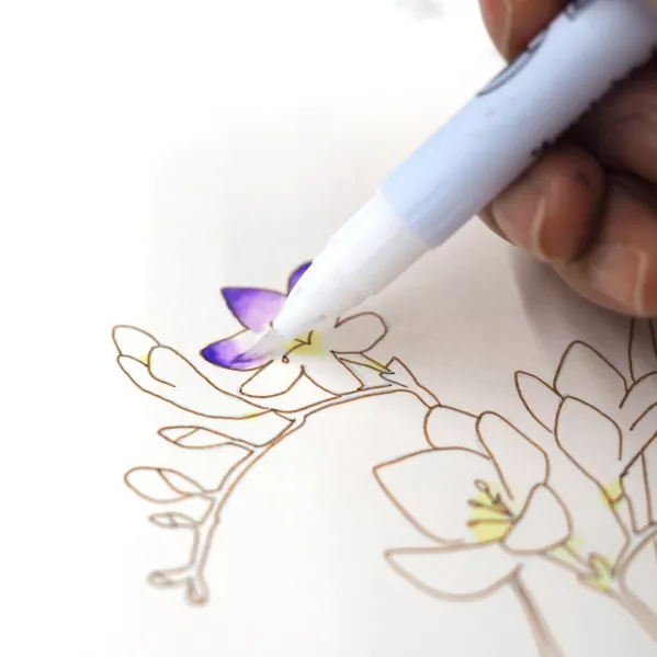 https://www.tintadlaplastykow.pl/gfx/photos/offer_60244137/zestaw-kuretake-exploring-watercolor-how-to-paint-flowers-gradation-ew2_5_634449206061848.webp