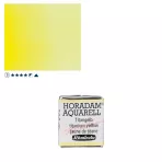 https://www.tintadlaplastykow.pl/gfx/photos/offer_61538522/farba-akwarelowa-schmincke-horadam-poacutelkostka-206-s3-titanium-yellow_2_685935949081058.webp