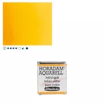 https://www.tintadlaplastykow.pl/gfx/photos/offer_61538535/farba-akwarelowa-schmincke-horadam-poacutelkostka-220-s2-indian-yellow_2_484687752102121.webp