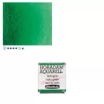 https://www.tintadlaplastykow.pl/gfx/photos/offer_61538604/farba-akwarelowa-schmincke-horadam-poacutelkostka-514-s2-helio-green_2_643776328142359.webp