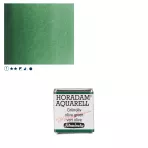 https://www.tintadlaplastykow.pl/gfx/photos/offer_61538605/farba-akwarelowa-schmincke-horadam-poacutelkostka-515-s1-olive-green_2_1243922258150022.webp