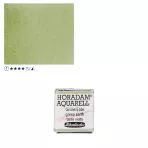 https://www.tintadlaplastykow.pl/gfx/photos/offer_61538606/farba-akwarelowa-schmincke-horadam-poacutelkostka-516-s1-green-earth_2_1562583355114539.webp