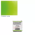 https://www.tintadlaplastykow.pl/gfx/photos/offer_61538609/farba-akwarelowa-schmincke-horadam-poacutelkostka-524-s2-may-green_2_661654384140358.webp