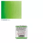 https://www.tintadlaplastykow.pl/gfx/photos/offer_61538611/farba-akwarelowa-schmincke-horadam-poacutelkostka-526-s2-permanent-green_2_571851964121506.webp
