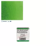 https://www.tintadlaplastykow.pl/gfx/photos/offer_61538613/farba-akwarelowa-schmincke-horadam-poacutelkostka-530-s2-sap-green_2_909178401151308.webp