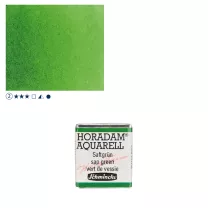 Farba Akwarelowa Schmincke Horadam P&oacute;łkostka 530 S.2 Sap Green
