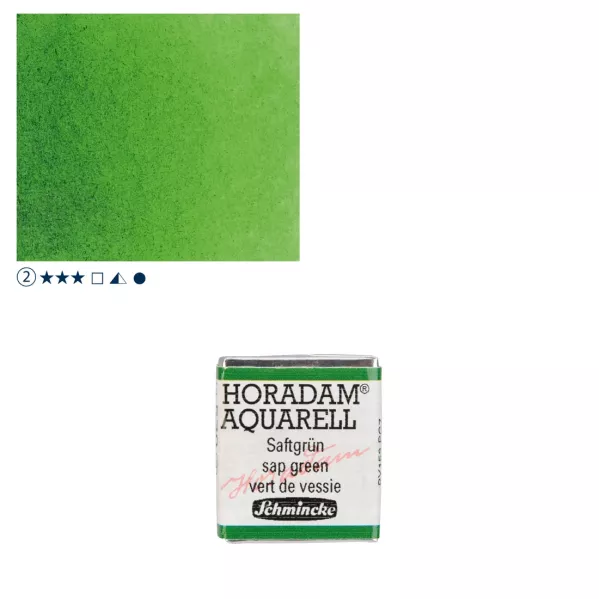 https://www.tintadlaplastykow.pl/gfx/photos/offer_61538613/farba-akwarelowa-schmincke-horadam-poacutelkostka-530-s2-sap-green_2_909178401151308.webp