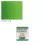 Farba Akwarelowa Schmincke Horadam P&oacute;łkostka 530 S.2 Sap Green