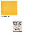 https://www.tintadlaplastykow.pl/gfx/photos/offer_61538627/farba-akwarelowa-schmincke-horadam-poacutelkostka-657-s1-transparent-ochre_2_805720003220623.webp