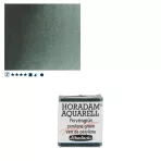 https://www.tintadlaplastykow.pl/gfx/photos/offer_61538645/farba-akwarelowa-schmincke-horadam-poacutelkostka-784-s2-perylene-green_2_326778527111642.webp