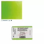 https://www.tintadlaplastykow.pl/gfx/photos/offer_61538749/farba-akwarelowa-schmincke-horadam-kostka-524-s2-may-green_2_1077046105140443.webp