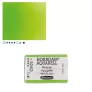 Farba Akwarelowa Schmincke Horadam Kostka 524 S.2 May Green