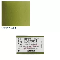 Farba Akwarelowa Schmincke Horadam Kostka 525 S.2 Olive Green Yellowish