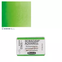 Farba Akwarelowa Schmincke Horadam Kostka 526 S.2 Permanent Green