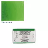 Farba Akwarelowa Schmincke Horadam Kostka 530 S.2 Sap Green