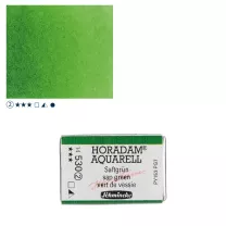 Farba Akwarelowa Schmincke Horadam Kostka 530 S.2 Sap Green