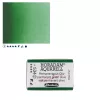 Farba Akwarelowa Schmincke Horadam Kostka 534 S.2 Permanent Green Olive