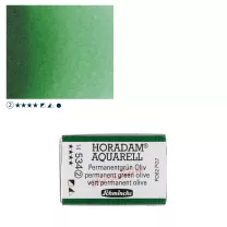 Farba Akwarelowa Schmincke Horadam Kostka 534 S.2 Permanent Green Olive