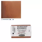 https://www.tintadlaplastykow.pl/gfx/photos/offer_61538768/farba-akwarelowa-schmincke-horadam-kostka-658-s2-mars-brown_2_857820489141448.webp