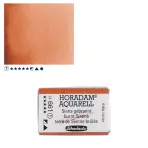https://www.tintadlaplastykow.pl/gfx/photos/offer_61538771/farba-akwarelowa-schmincke-horadam-kostka-661-s1-burnt-sienna_2_2057031704084250.webp