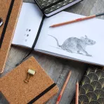 https://www.tintadlaplastykow.pl/gfx/photos/offer_62634431/szkicownik-talens-art-creation-140-gsm-cork-cover-13-x-21-cm-9314052m_3_1063234878120942.webp