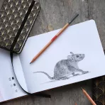 https://www.tintadlaplastykow.pl/gfx/photos/offer_62634438/szkicownik-talens-art-creation-140-gsm-art-deco-cover-12-x-12-cm-9314154m_3_861475168121758.webp