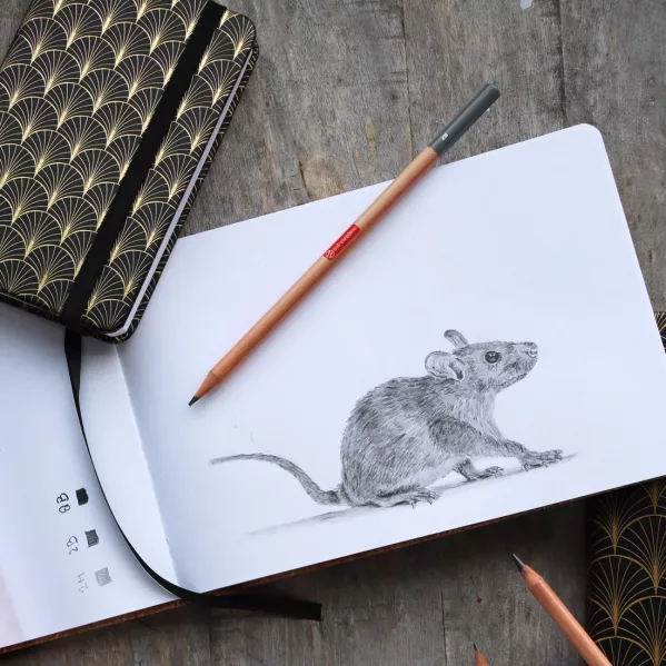 https://www.tintadlaplastykow.pl/gfx/photos/offer_62634440/szkicownik-talens-art-creation-140-gsm-art-deco-cover-15-x-21-cm-9314155m_3_743512843121824.webp