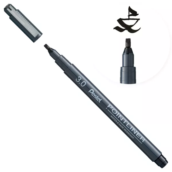 https://www.tintadlaplastykow.pl/gfx/photos/offer_63232596/pisak-do-kaligrafii-pentel-pointliner-3-mm-czarny_2_1110968271114842.webp