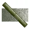 Pastela Olejna Caran d'Ache Neopastel 019 Olive Black
