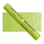 https://www.tintadlaplastykow.pl/gfx/photos/offer_63335225/pastela-olejna-caran-d-ache-neopastel-245-light-olive.webp