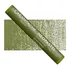Pastela Olejna Caran d'Ache Neopastel 249 Olive