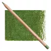 Kredka Caran d'Ache Luminance 6901 225 Moss Green 6901225
