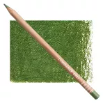 https://www.tintadlaplastykow.pl/gfx/photos/offer_63481186/kredka-caran-d039ache-luminance-6901-225-moss-green-6901225_3_1316252010134703.webp