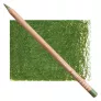 Kredka Caran d'Ache Luminance 6901 225 Moss Green 6901225