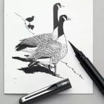 https://www.tintadlaplastykow.pl/gfx/photos/offer_6354777/brush-pen-pentel-pocket-black-gfkp_3_1893599102110538.webp