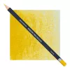 Kredka Derwent Procolour 05 Gold
