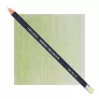 Kredka Derwent Procolour 45 Light Moss