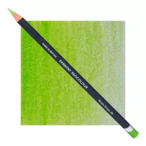 Kredka Derwent Procolour 49 Grass Green