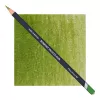 Kredka Derwent Procolour 50 Moss Green