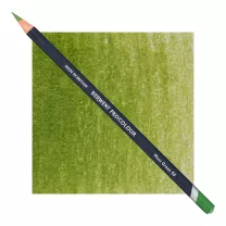 Kredka Derwent Procolour 50 Moss Green