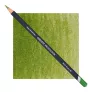 Kredka Derwent Procolour 50 Moss Green