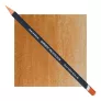 Kredka Derwent Procolour 60 Burnt Yellow Ochre